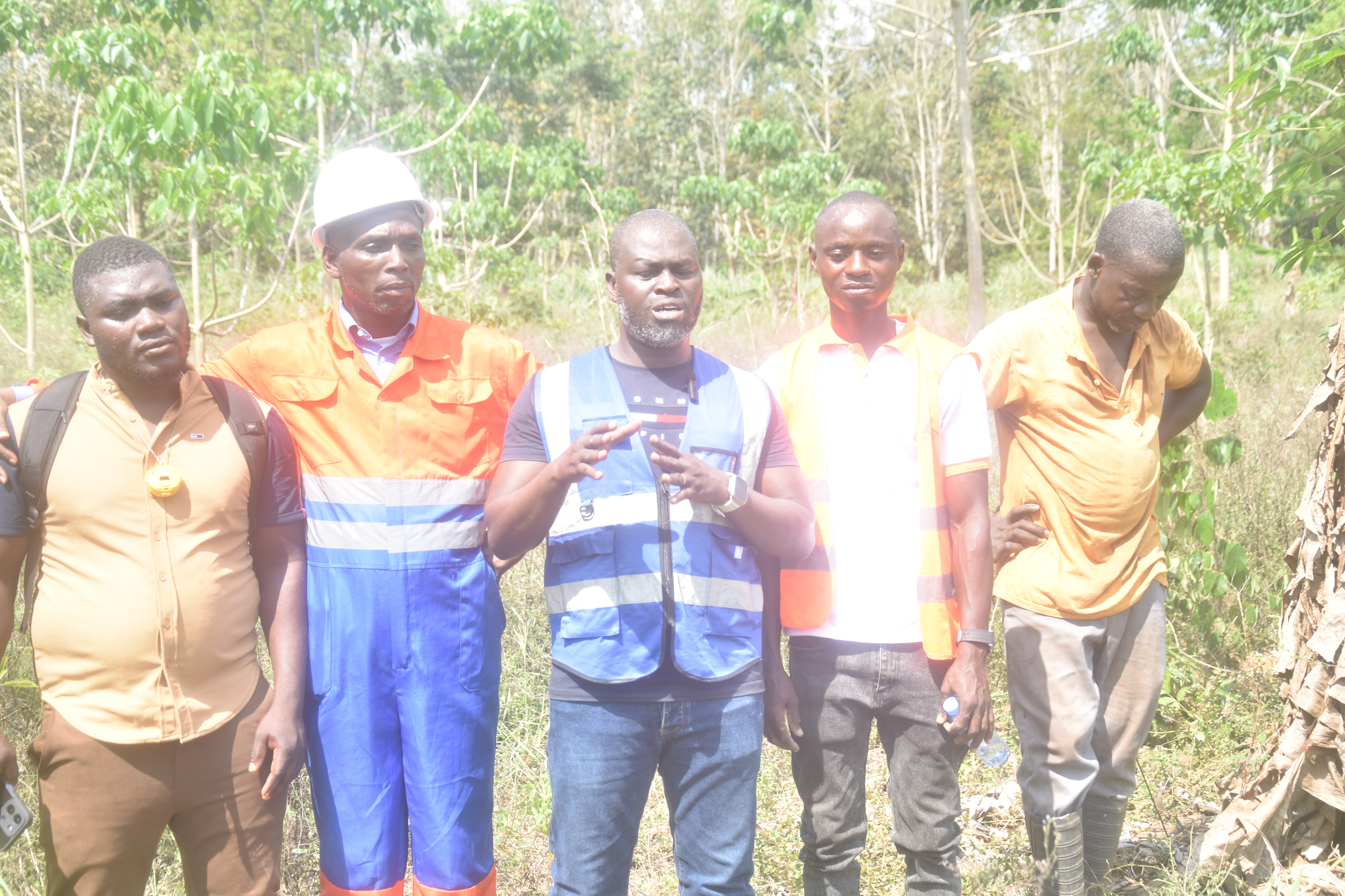 Une innovation agricole à Gagnoa réduit de moitié le temps de production de l'akpi, espoir pour les producteurs