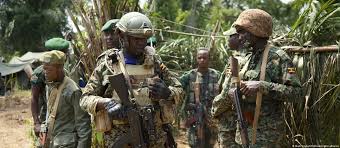 Trois décennies de violences des ADF et les réponses encore insuffisantes