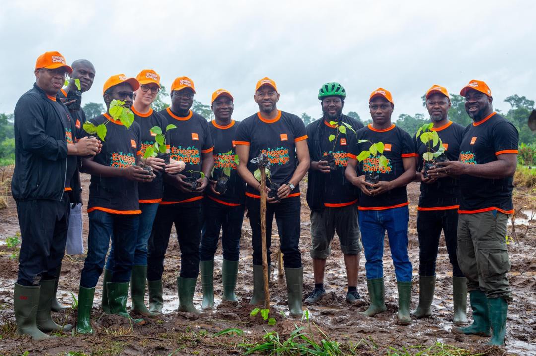 Les Fondations YES et Orange Côte d’Ivoire reboisent la forêt classée de Boka Kokoré